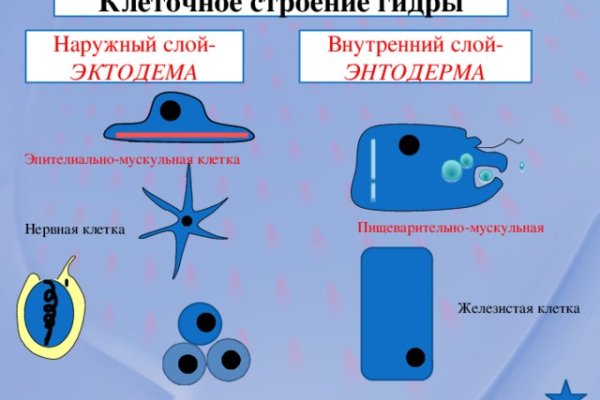 Кракен 22
