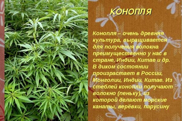 Ссылки на сайты в даркнете