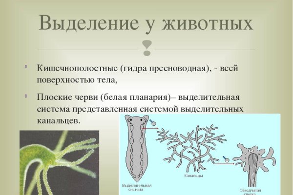 Аналог hydra