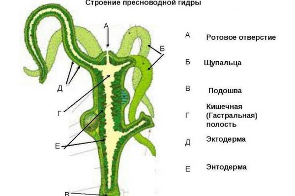 Кракен зеркало на сайт